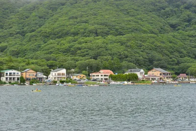 DSC_3723 (Large).JPG